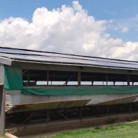 Techsun solar Agricultural Chicken Farm